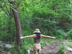 -碓臼峪自然风景区