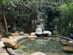 -天目湖涵田半山温泉