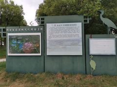 -长兴太湖图影湿地文化园