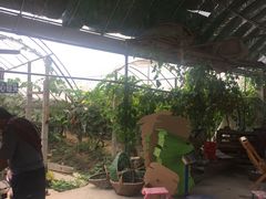 -马陆小张葡萄园农家乐