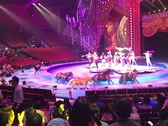 -珠海横琴长隆《卡卡虎奇遇记》