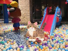 -溧阳天目湖天沐温泉