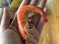 -海上驿站渔家菜馆