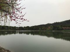 -羊山湖公园