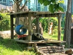 -大连森林动物园