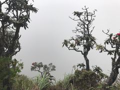 -霍顿平原国家公园