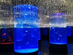 -哈尔滨波塞冬海底世界