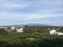 桔园-朝安泰迪熊博物馆