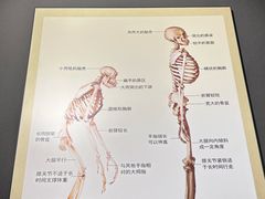 -辽宁古生物博物馆
