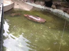 -荆州中山公园动物园