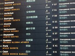 -谢列梅捷沃国际机场