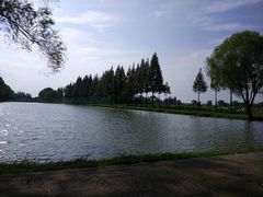 -洪湖生态旅游区