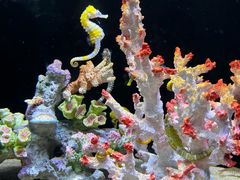-欢乐海岸海洋奇梦馆