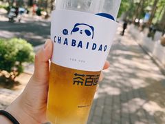 茉莉绿茶-茶百道(昌平府学路店)