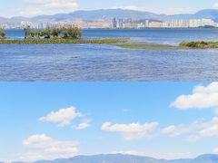 -洱海月湿地公园