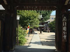 -医王山·飞騨国分寺