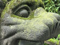 -青城山