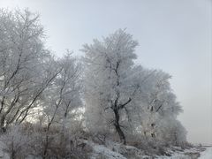 -雾凇岛