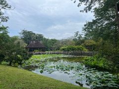 -中国科学院西双版纳热带植物园