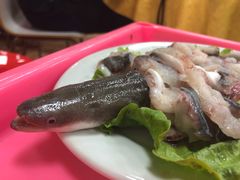 海鳗-濠轩阁特色生蚝火锅(水湾路店)