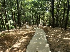 -火炉山森林公园