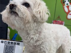 -辛巴宠物医疗中心·骨科·内分泌专科·心肾专科(亭林公园店)