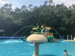 -虎英水上乐园