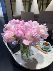 -MuseMarry婚纱(前海嘉里中心店)