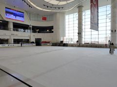 -世纪星滑冰俱乐部(万象城店)