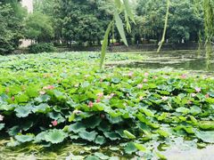 -西南交通大学(九里校区)