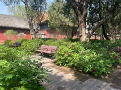 -北京市劳动人民文化宫(太庙)