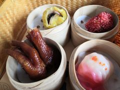 -广州都市观光巴士(粤陶巴)