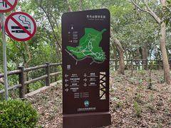 -上海佘山国家森林公园天马山园