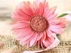 -维利康(优尚天地店)