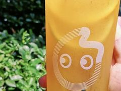 百香柠檬蜜摇摇冻-CoCo都可(八达商城店)