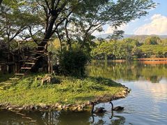 -清迈夜间动物园