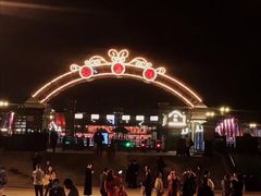 -武汉知音号