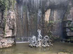-西双版纳原始森林公园