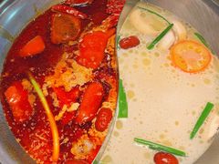 -熊喵来了火锅·牧场好肉(邯郸邯山万达店)