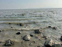 -深圳湾公园(南山区)