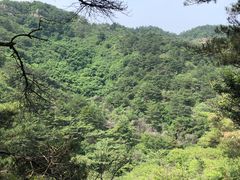 -金龙寺国家森林公园