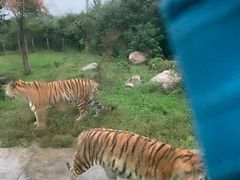 -西安秦岭野生动物园