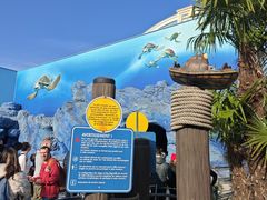 -巴黎迪士尼乐园