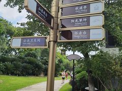 -江心屿景区
