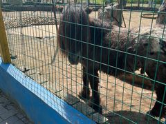 -武汉紫薇都市田园