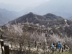 -大岭沟猕猴桃谷风景区