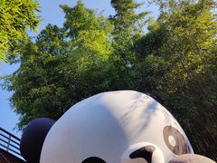 -杭州植物园