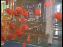-玲珑汤泉生活会馆(花桥店)