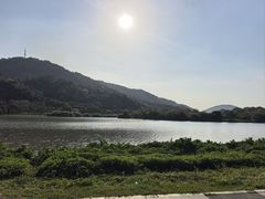 -风云岭森林公园