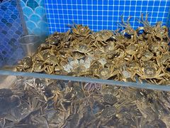 -乔哥铭洋海鲜自助(皇城恒隆广场店)